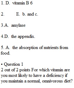 Chapter 22 Quiz